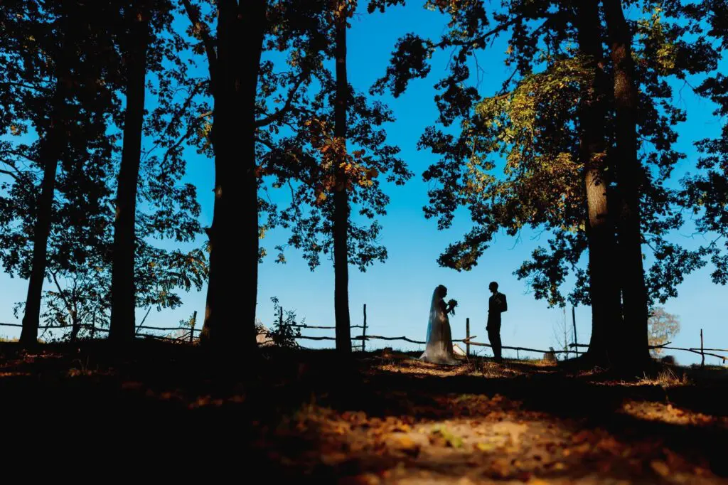 Silhouetted couple under trees with blue sky.